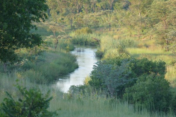  Lomba River in Mavinga National Park