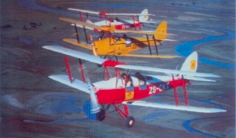 DH TIGER MOTHS