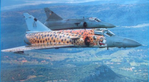 RED ARROW HAWK AND FLYING CHEETAH